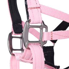 Dog Head Collar Pink (with chain)