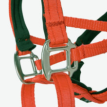 Dog Head Collar Orange (without chain)
