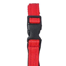 Dog Head Collar Red (with chain)