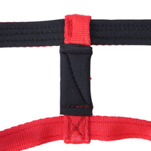 Dog Head Collar Red (with chain)