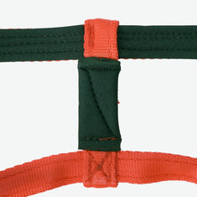 Dog Head Collar Orange (without chain)