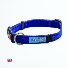 Collar - Royal Blue