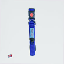 Collar - Royal Blue