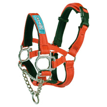 Dog Head Collar Orange (with chain)