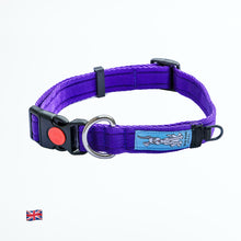 Collar - Purple