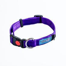 Collar - Purple