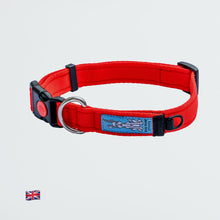 Collar - Red
