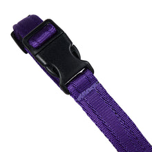 Dog Head Collar Purple (with chain)
