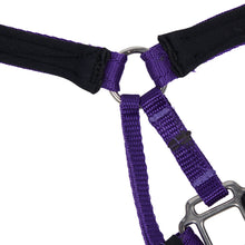 Dog Head Collar Purple (with chain)