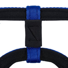 Dog Head Collar Blue (with chain)