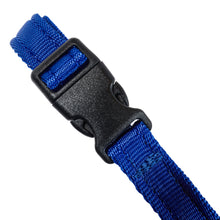 Dog Head Collar Blue (with chain)