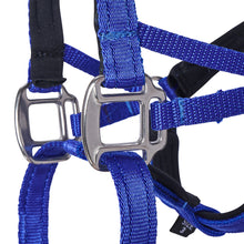 Dog Head Collar Blue (without chain)