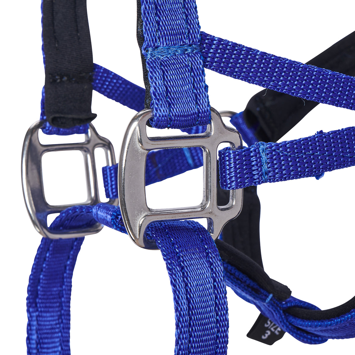 Big ed discount head collar