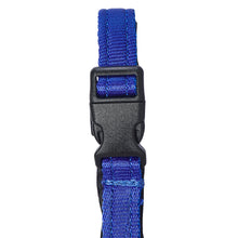 Dog Head Collar Blue (without chain)