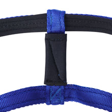 Dog Head Collar Blue (without chain)