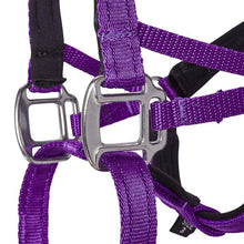 Dog Head Collar Purple (without chain)