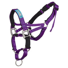 Dog Head Collar Purple (without chain)