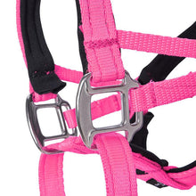 Dog Head Collar Hot Pink (without chain)
