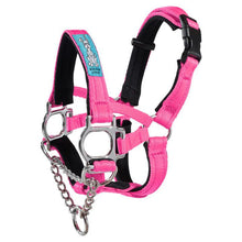 Dog Head Collar Hot Pink (with chain)