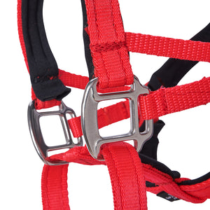Dog Head Collar Red (with chain)