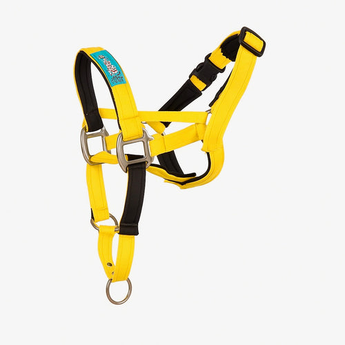 Dog Head Collar Special Edition Yellow (no chain)