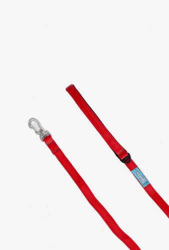 Dog Lead Red