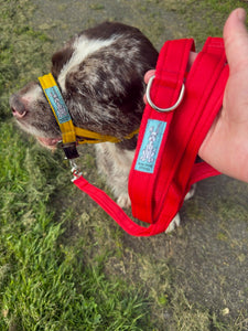 Dog Head Collar Special Edition Yellow (no chain)