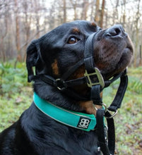 Dog Head Collar Black (without chain)
