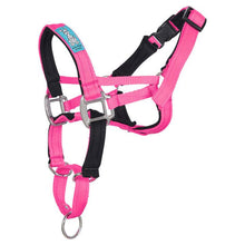 Dog Head Collar Hot Pink (without chain)