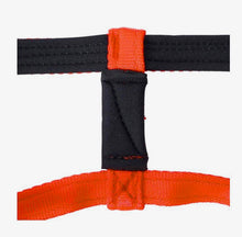 Dog Head Collar Orange (with chain)