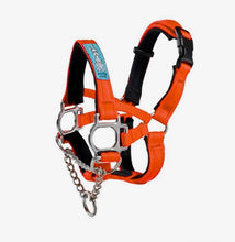 Dog Head Collar Orange (with chain)
