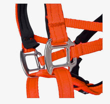 Dog Head Collar Orange (with chain)