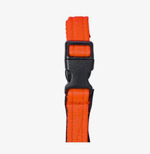 Dog Head Collar Orange (with chain)