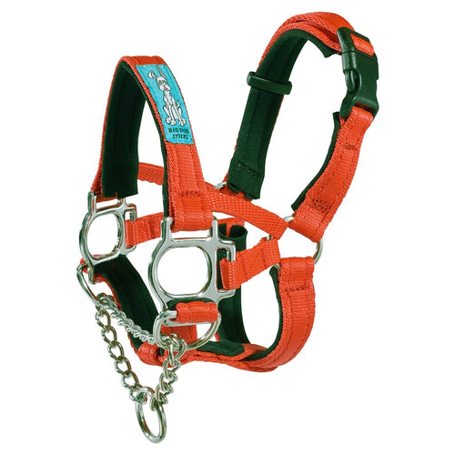 Dog Head Collar Orange (with chain)