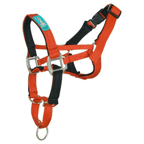 Dog Head Collar Orange (without chain)