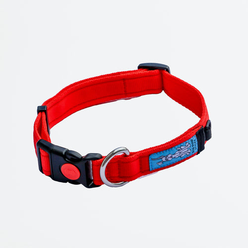 Collar - Red