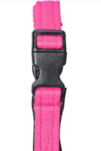 Dog Head Collar Hot Pink (with chain)