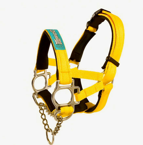 Dog Head Collar Special Edition Yellow (chain)