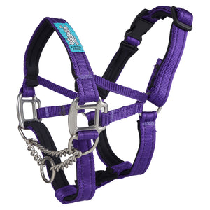 Dog Head Collar Purple (with chain)