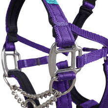 Dog Head Collar Purple (with chain)