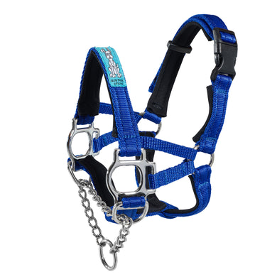 Dog Head Collar Blue (with chain)