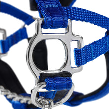Dog Head Collar Blue (with chain)