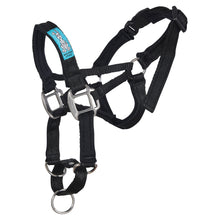 Dog Head Collar Black (without chain)